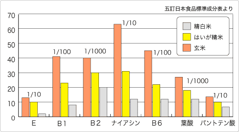 5年産 お米 ひのひかり胚芽米 10kg 岡山県産 (5kg×2袋) お米 送料無料 10キロ 令和5年産 北海道・沖縄宛は送料770円の加算が必要です