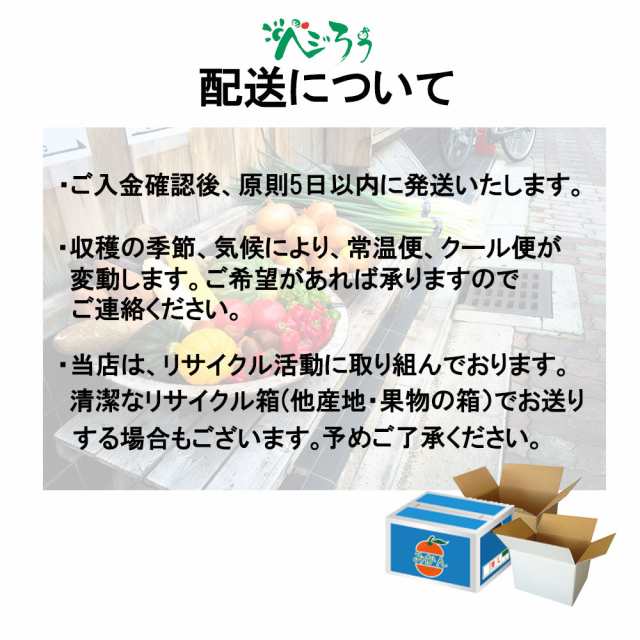 野菜セット 野菜 福袋 15品 野菜詰め合わせ ベジタブル デラックス 愛媛県産 他の通販はau PAY マーケット - ベジろう