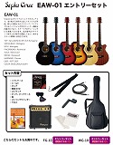 【入門セット】Sepia Crue/エレアコ EAW-01 エントリーセット【セピアクルー】_3