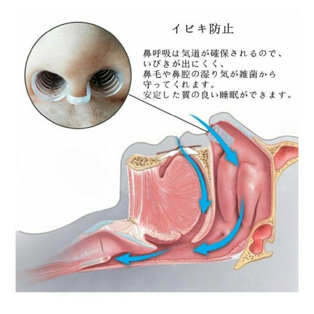 ２個セット ツーサイズ S L いびき防止 イビキ対策 無呼吸改善 ノーズピン ノーズクリップ 安眠 快眠 鼻詰まり 花粉症対策 の通販はau Pay マーケット スタイルアップインナー Moonland Au Pay マーケット店