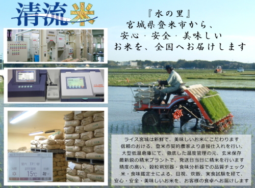 最安値更新！ ◆令和6年産◆ 送料無料 宮城県登米産 ひとめぼれ 玄米 30kg 玄米食 健康食 西の魚沼・東の登米 ＊沖縄県送料別途5_2