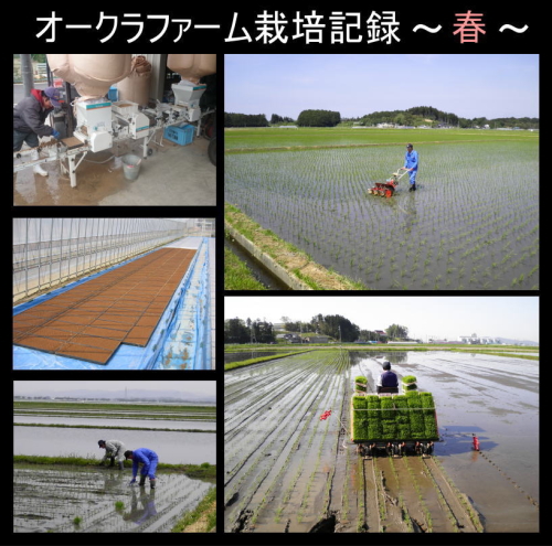 新米 ◆令和7年産◆ 米 10kg 送料無料 宮城県産 特別栽培米 ひとめぼれ 無洗米 10kg [5kg×2袋] ＊_2