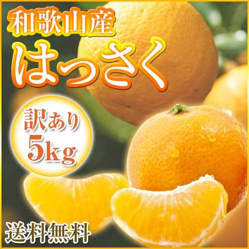 和歌山県産 訳あり 八朔 はっさく 5kg ご自宅用 送料無料 みかんの次は