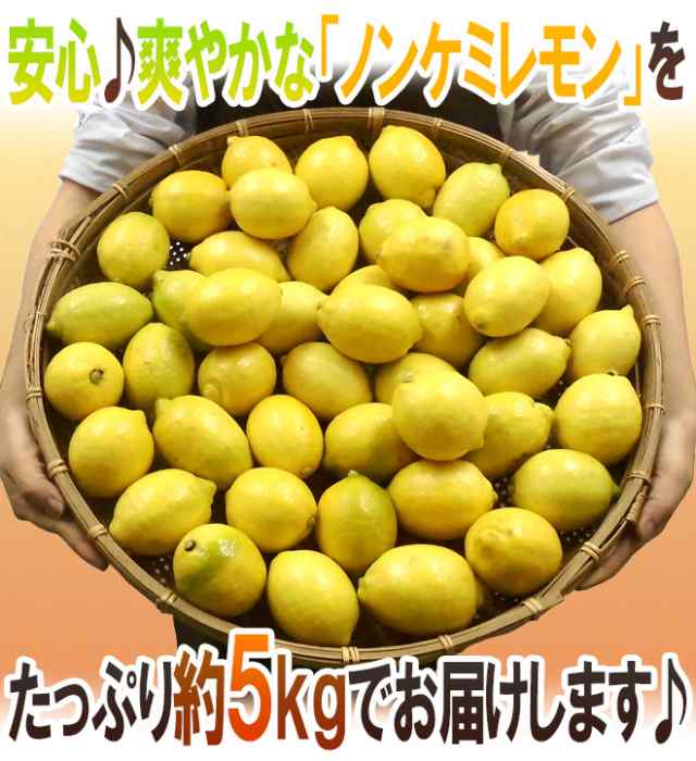 チリ・アメリカ産など ”ノンケミレモン” 大きさおまかせ 約5kg 安心の防ばい剤不使用！ノンケミカル/防黴剤（防かび剤）不使用【予約 ｜au PAY  マーケット