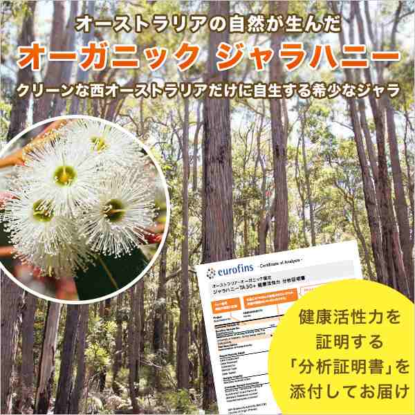 ジャラハニー TA 20+ 250g×2本 500g マヌカハニーと同様の健康活性力 分析証明書付 オーストラリア・オーガニック認定 はちみつ 蜂蜜の通販はau  PAY マーケット - ジャラハニー専門店 MEDY-JARA