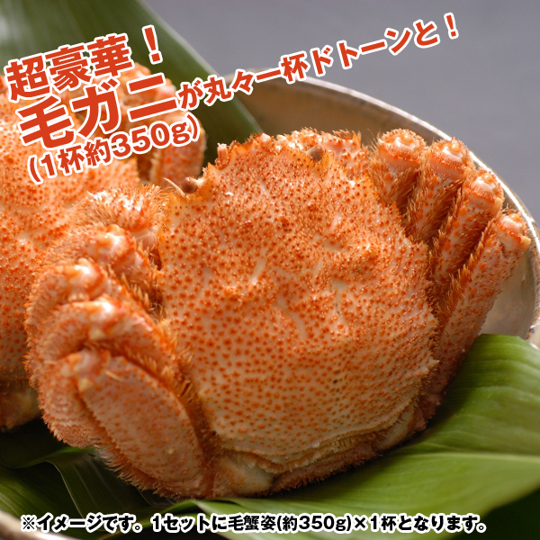 かに鍋セット4人前「毛蟹」(毛ガニ姿一杯420g かに カニ 紅鮭 海老 蟹真丈 ギフト お歳暮 クール便 お中元敬老の日 プレゼント)_1