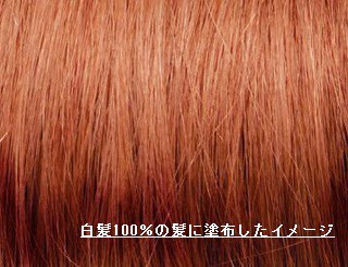 ジャパンヘナ ピンクベリー 100g JAPAN HENNA HC入り 白髪隠し