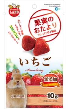 マルカン　果実のおたより　いちご　１０ｇｘ３６個（ケース販売）