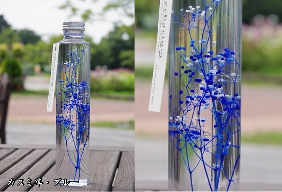 ハーバリウム カスミ草 バラエティーフラワー フラワーボトル 飾れる植物標本の通販はau Pay マーケット お花屋アイビー３号店