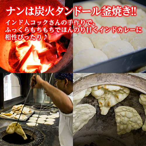 プレーンナン 10枚セット【冷凍便送料無料】Plain Naan 炭火香る♪手ご 