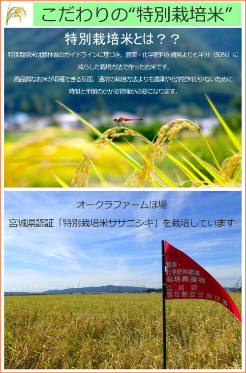 新生活応援セール 令和7年産 白米 30kg (5kg×6袋) 送料無料 宮城県 登米産 特別栽培米 ササニシキ 白米 10kg 減農薬・減化学肥料 ポリ袋仕様_3