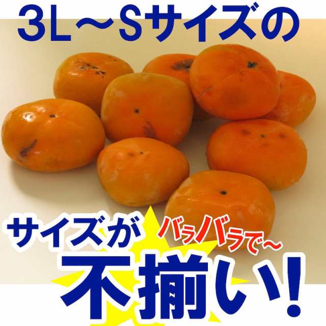 たねなし柿 【予約販売】 和歌山県産 訳あり たねなし柿 3kg 【送料無料】平核無柿 平種柿 サイズ不揃い 傷あり ※９月下旬頃より順次発の通販はau  PAY マーケット au PAY マーケット－通販サイト