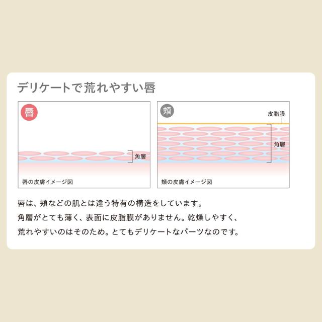 メーカー公式 Liplu Set リップルセット 正規品 唇ケア 荒れ 乾燥 リップル 唇 唇用美容液 くちびる 本物 保証付き P10の通販はau Pay マーケット Mtg Onlineshop 株式会社mtg公式通販サイト