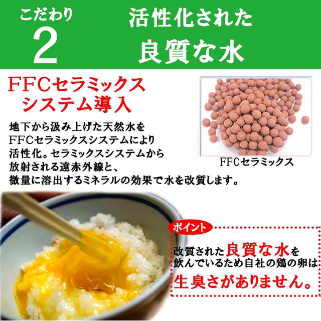 お一人様1回限り】三種の卵食べ比べお試しセット！18個入り【名古屋コーチンの卵(6個)＋くしたま赤卵(6個)＋くしたま白卵(6個)】高級卵の通販はau  PAY マーケット - 櫛田養鶏場