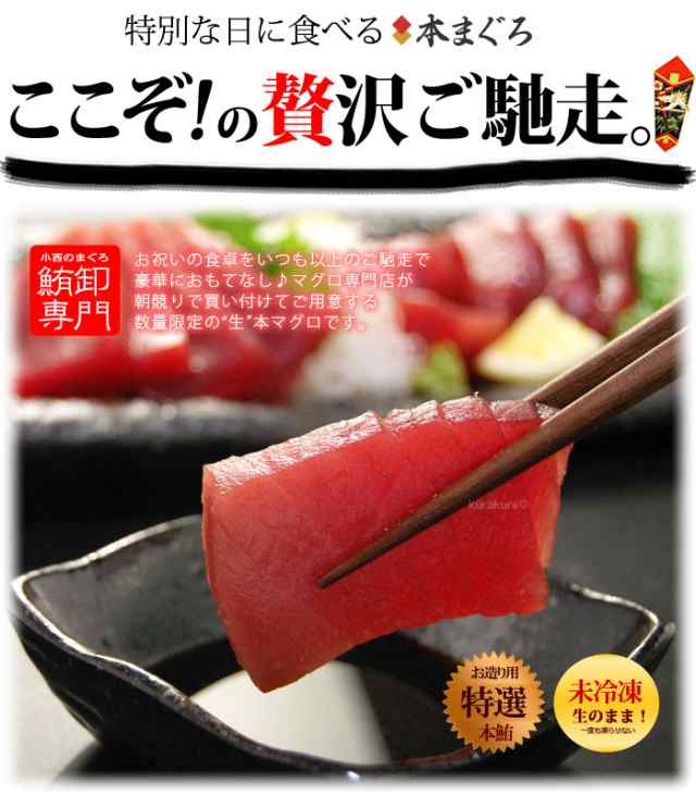 中トロ　長崎産　生鮪　(主に　PAY　鹿児島産　生本まぐろ　まいど！おおきに屋クラクラ　高知産)　マーケット　au　蓄養　中トロ　生まぐろ　生マグロ　中とろ　国産　PAY　マーケット－通販サイト　生本マグロ　(約500g)　ブロック　本まの通販はau