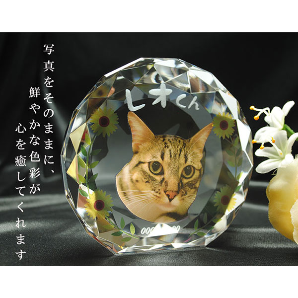 かわいいクリスタルペット位牌【ピュアラブ サークル　サイズA】【UV＋２Dレーザー】犬の位牌　猫の位牌　ペット供養 送料無料