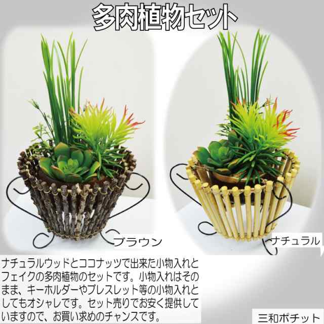 ココナッツトレイ 多肉植物セット アジアン雑貨 バリ雑貨 かわいい ギフト プレゼント ハンドメイド ナチュラル 送料無料 の通販はau Pay マーケット 三和ポチット