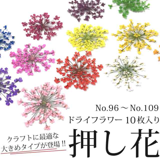 ケースなし 押し花 ドライフラワー 96 109 10枚入り 大きめサイズ の通販はau Pay マーケット Kokonail