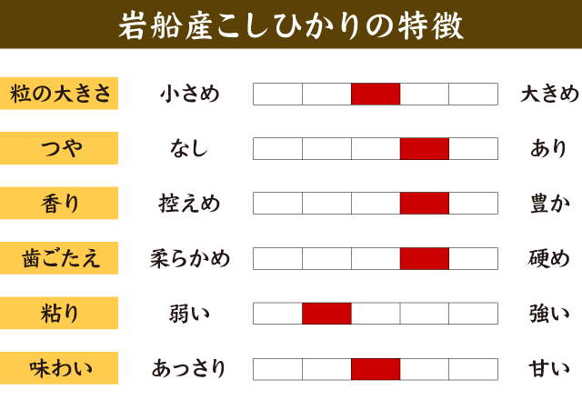 令和5年産】岩船産コシヒカリ 10kg （5キロ×2袋） 【送料無料 ※沖縄へ