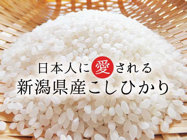 販売買蔵新潟県産コシヒカリ白米５キロ×４袋(令和４年産) 米・雑穀・粉類