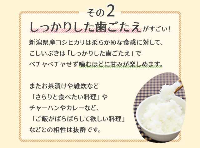Amazon.co.jp: 新潟県産 こしいぶき 白米 5kg (5kg×1袋) 令和6