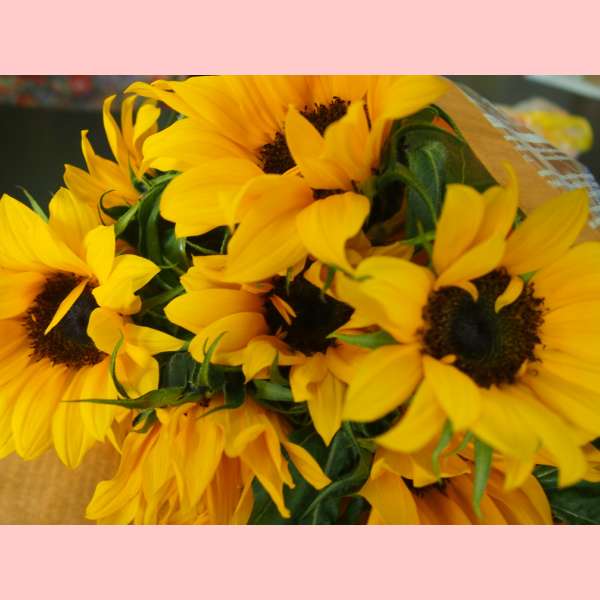 元気な向日葵10本 記念日 ひまわり プレゼント 母の日 敬老の日 父の日の通販はau Pay マーケット Eemono