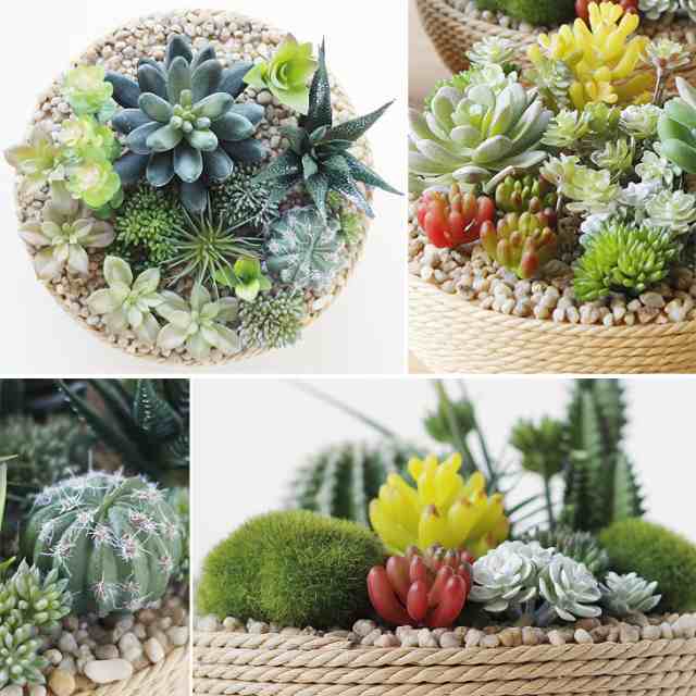 人工観葉植物【CT触媒】Cタイプ 寄せ植え フェイクグリーン 触媒 消臭 浄化 インテリア おしゃれ サボテン プレゼント 室内 雑貨 飾り  の通販はau PAY マーケット - Canderry House