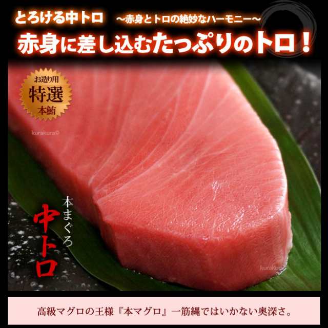 本マグロ中トロ(約200g)地中海産 蓄養鮪 贈答用 本マグロ 本まぐろ 本鮪 クロマグロ 黒まぐろ 黒鮪 食品 魚介類 水産加工品 マグロ トロの通販はau  PAY マーケット - まいど！おおきに屋クラクラ