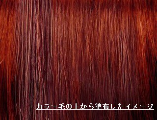 ジャパンヘナ ピンクベリー 100g JAPAN HENNA HC入り 白髪隠し