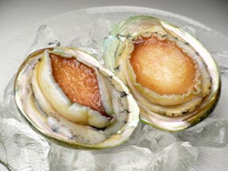 お刺身用 冷凍あわび 約1kg 10個前後 送料無料 生食用 刺身 アワビ 鮑 タスマニア産 北海道 沖縄 一部離島配送不可の通販はau Pay マーケット やまがた特産屋