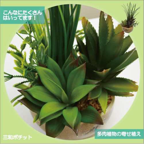 造花 フェイクグリーン 多肉植物 寄せ植え サボテン グリーンプラント インテリアグリーン Cタイプ ギフト プレゼント おしゃれ かわいいの通販はau Pay マーケット 三和ポチット