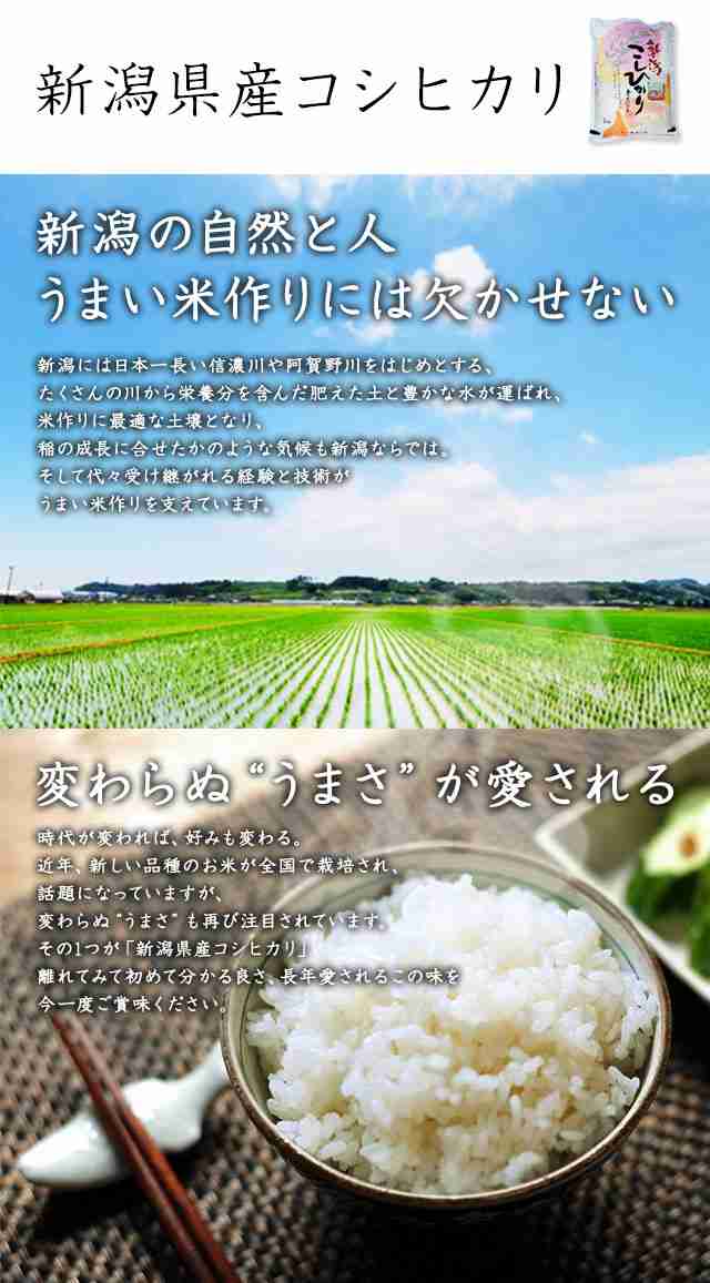 令和4年産【食べ比べセット】 新潟のお米 2kg × 3種類 【送料無料 ※沖縄送料2,200円】 お米 5kg 以上 お米 10kg 未満 送料無料  詰め合の通販はau PAY マーケット - 新潟おこめ市場 au PAY マーケット店