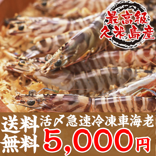 送料無料 活〆急速冷凍車海老500g お中元や夏ギフトにどうぞ 30 34尾入 車えび 久米島 車エビ のし対応可能の通販はau Pay マーケット 沖縄clipマルシェ