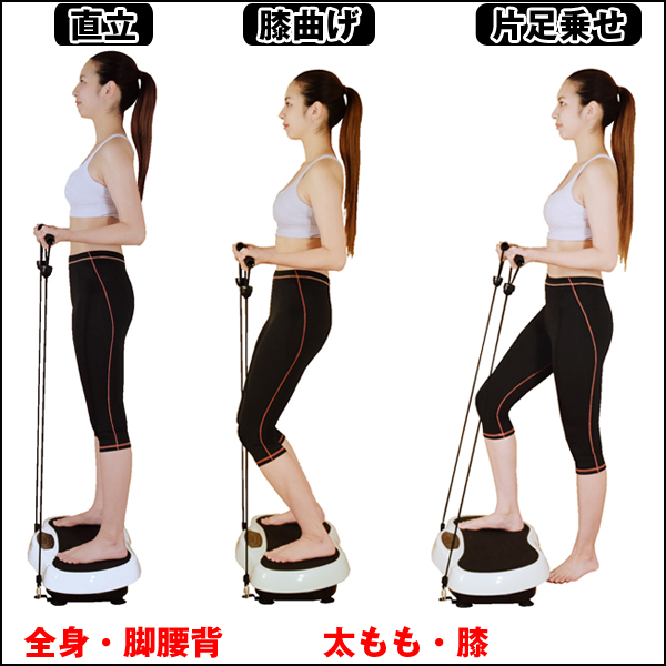 乗るだけエクササイズ「シェイカーバイブプレート