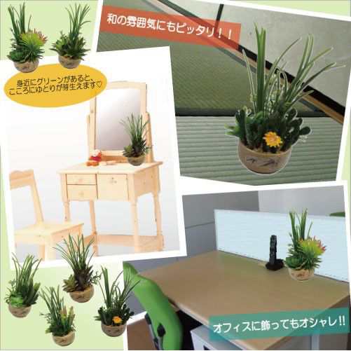 造花 フェイクグリーン 多肉植物 寄せ植え サボテン グリーンプラント インテリアグリーン Aタイプ ギフト プレゼント おしゃれ かわいの通販はau Pay マーケット 三和ポチット 造花 フェイクグリーン 多肉植物 寄せ植え サボテン グリーンプラント インテリアグリーン Aタイプ ギフト プレゼント おしゃれ かわいの通販はau Pay マーケット 三和ポチット