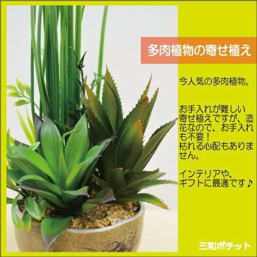 造花 フェイクグリーン 多肉植物 寄せ植え サボテン グリーンプラント インテリアグリーン Cタイプ ギフト プレゼント おしゃれ かわいいの通販はau Pay マーケット 三和ポチット