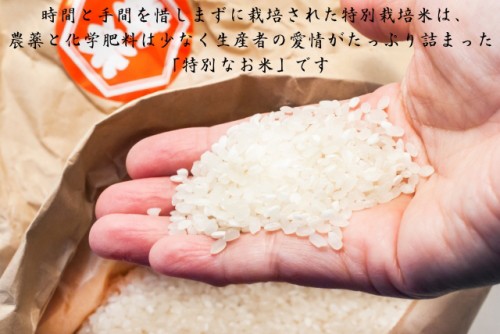 新米 ◇令和5年産◇ 宮城県産 無洗米 5kg 送料無料 特別栽培米 ...