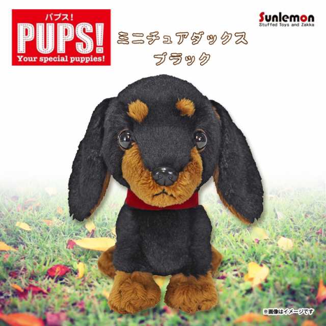 ぬいぐるみ 犬 パプス ミニチュアダックス ブラック P 5932 Pups Sサイズ お座り ねそべり 首輪付き サンレモンの通販はau Pay マーケット モバイルランド