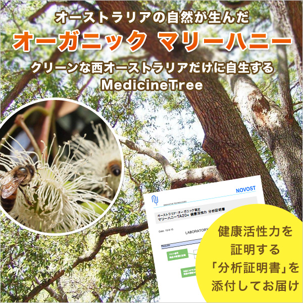 マリーハニー TA 30+ 1,000g ×2本 2kg マヌカハニーと同様の健康活性力
