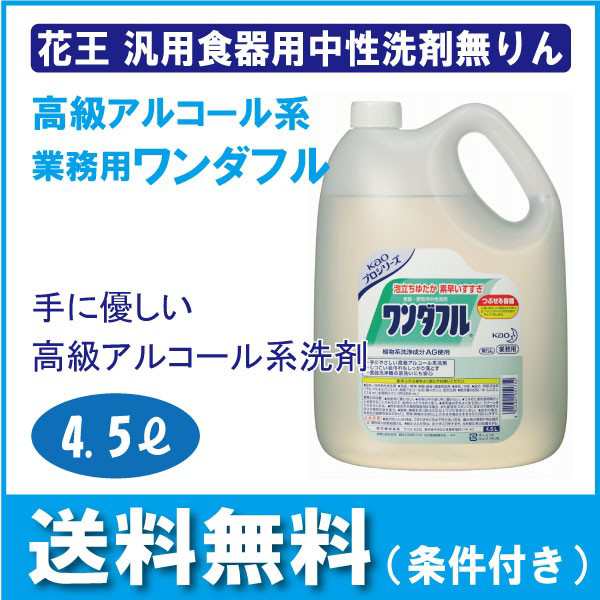 ボーカル スリップシューズ 生じる ワンダフル 洗剤 Tachibana t Jp