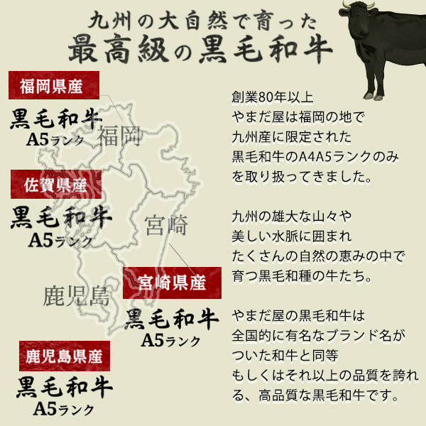 佐賀牛 宮崎牛 A4 切り落とし 2.5kg / 250ｘ10P すき焼き 鍋 こま切れ メガ盛り 霜降り 和牛 肉 通販 高級 ギフト お祝い ごちそう_5