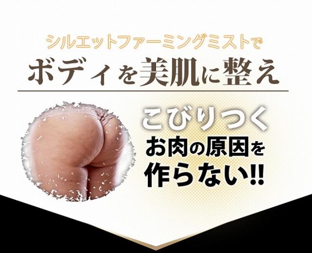 ポイント増量中 クーポンあり 全身使えるスリミングマッサージミスト Silhouette Firming Mist シルエットファーミングミストの通販はau Pay マーケット プロフィット