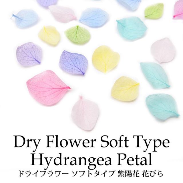 ドライフラワー ソフトタイプ 紫陽花 花びら 各種 10枚入り 11 21 あじさい レジン ハンドメイドの通販はau Pay マーケット Kokonail ドライフラワー ソフトタイプ 紫陽花 花びら 各種 10枚入り 11 21 あじさい レジン ハンドメイドの通販はau Pay マーケット Kokonail