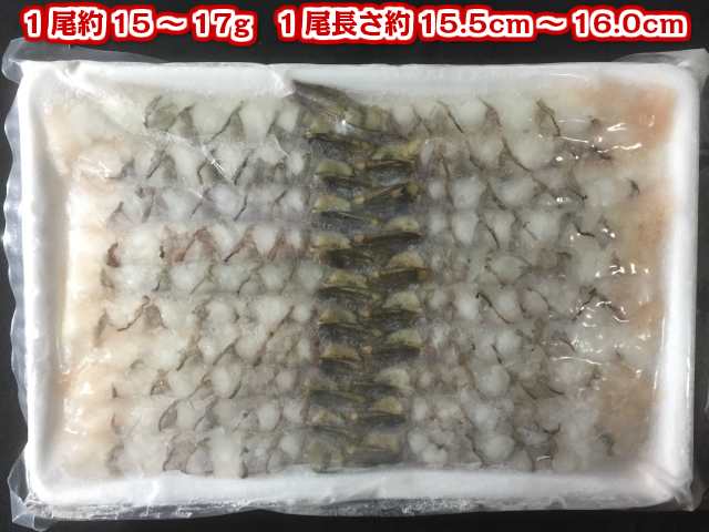 尾付き伸ばし海老 ブラックタイガー 20尾入 3Lサイズ(約15.5cm～16cm)殻むき・背ワタ処理済み【エビ】の通販はau PAY マーケット -  グルメ通販市場