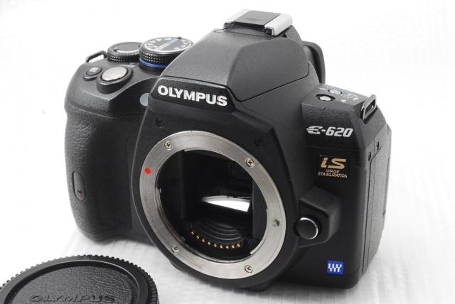 中古 保証付 送料無料 Olympus E 6 ボディ 一眼レフカメラ デジタル 一眼レフカメラ 一眼レフカメラ 初心者 送料無料の通販はau Pay マーケット 鉢花工房トマト Au Pay マーケット店