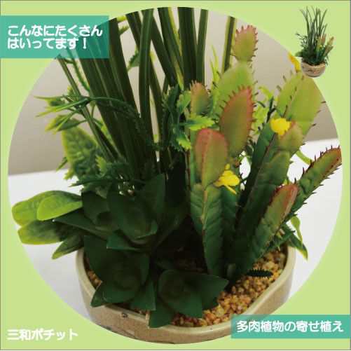 造花 フェイクグリーン 多肉植物 寄せ植え サボテン グリーンプラント インテリアグリーン Dタイプ ギフト プレゼント おしゃれ かわいいの通販はau Pay マーケット 三和ポチット