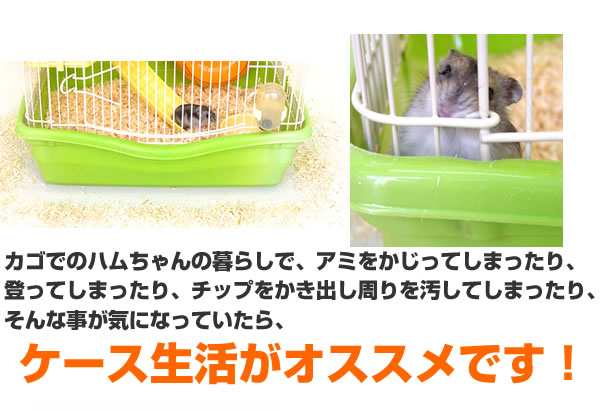 ジャンガリアンのゆったり飼育セット マルチプレイス ハムスター飼育セット スノーホワイト ロボロフスキー ドワーフ 飼育ケースの通販はau Pay マーケット 小動物専門店ヘヴン