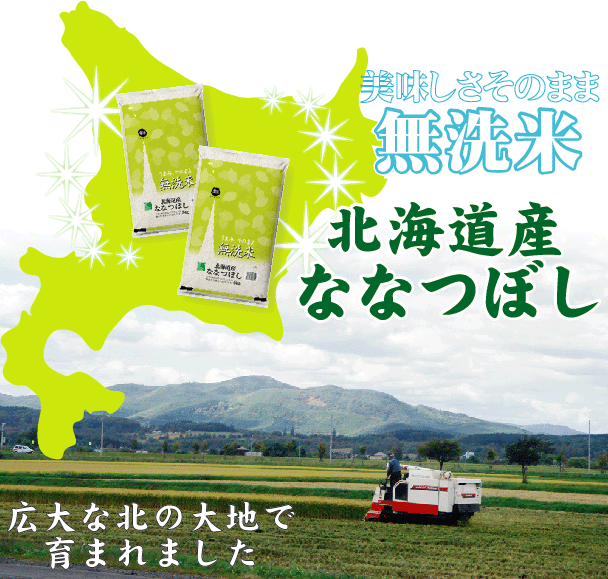 令和7年産 無洗米  北海道産ななつぼし5kg と 新潟県産コシヒカリ5kg の計10kgの組合せセット 【送料無料 [翌日配送]/北海道沖縄は別途送料760円】_4