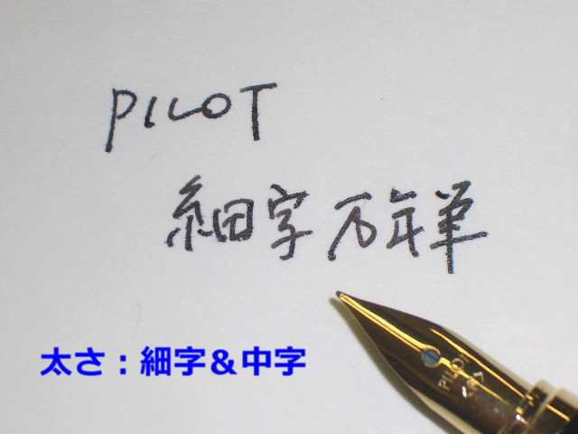 カヴァリエ 名入れ 万年筆 マーブル柄 ギフトBOX付き PILOT