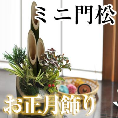 ミニ門松 寄せ植え お正月飾り 盆栽職人仕立ての門松[12/22日以降にお 